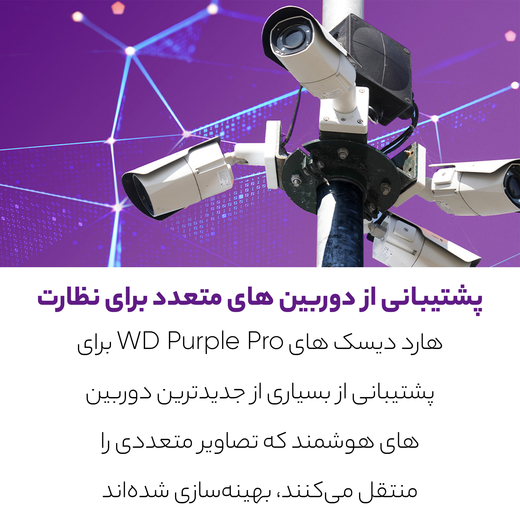 هارددیسک اینترنال وسترن دیجیتال مدل Purple WD100PURZ ظرفیت 10 ترابایت