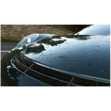 بازی Drive Club مخصوص PS4