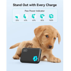 پاوربانک اینیو مدل BI-B43 ظرفیت 10000 میلی آمپر ساعت