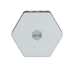 مودم 4G آسیاتک مدل ML141 plus به همراه 100 گیگ اینترنت سه ماهه
