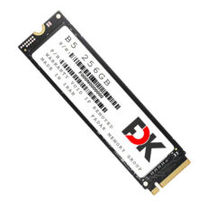 اس اس دی اینترنال فدک مدل B5 M.2 ظرفیت 256 گیگابایت