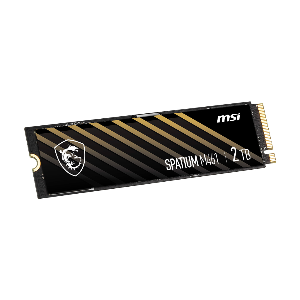 اس اس دی اینترنال ام اس آی مدل M461 ظرفیت دو ترابایت