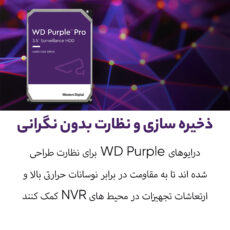 هارددیسک اینترنال وسترن دیجیتال مدل Purple WD100PURZ ظرفیت 10 ترابایت