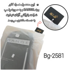 کوله پشتی لپ تاپ بنج مدل BG-2581 مناسب برای لپ تاپ تا 15.6 اینچی