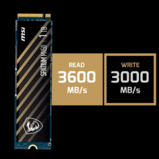 اس اس دی اینترنال ام اس آی مدل SPATIUM M450 ظرفیت یک ترابایت