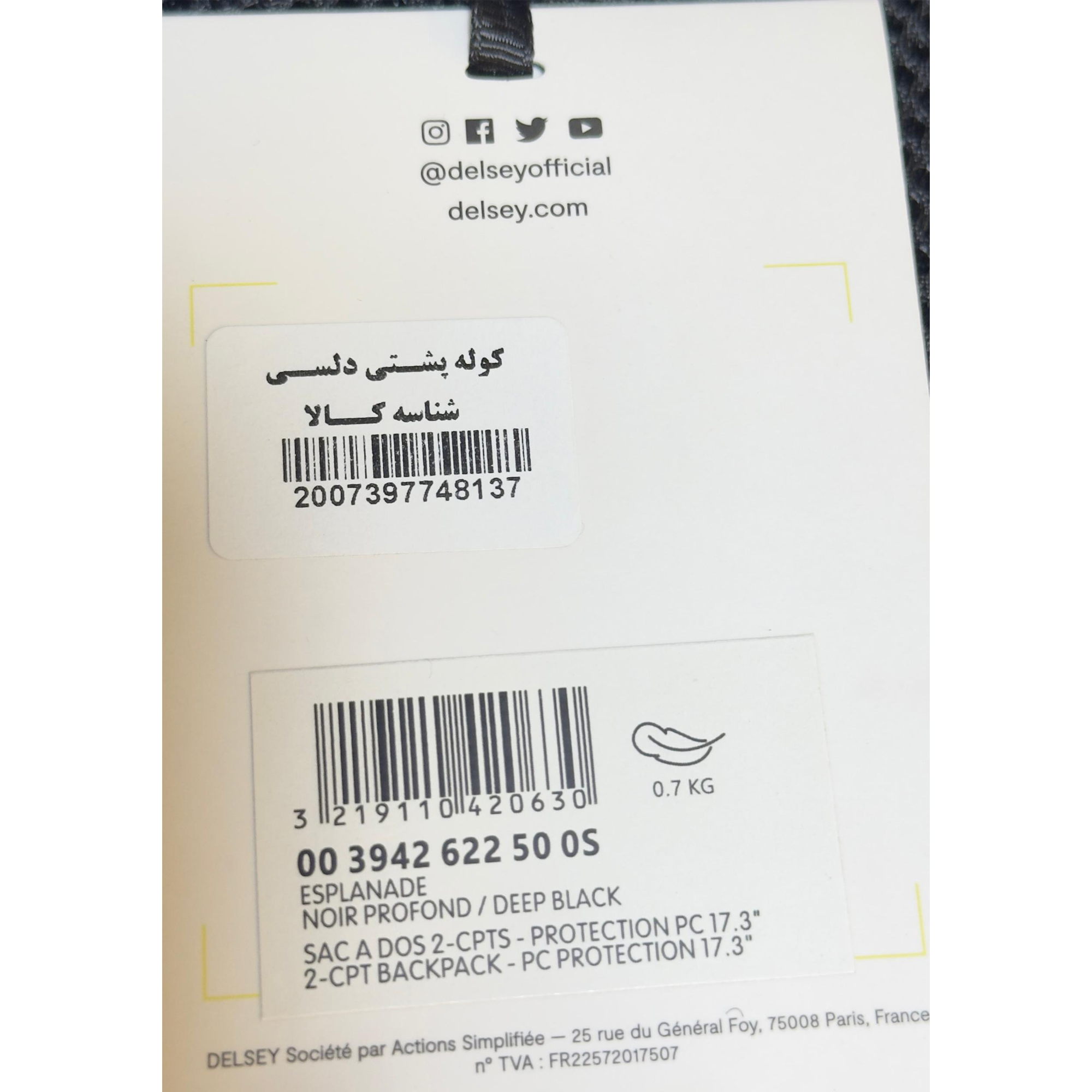 کوله پشتی لپ تاپ دلسی مدل ESPLAINADE کد 394262250 مناسب برای لپ تاپ 16 تا 17 اینچی