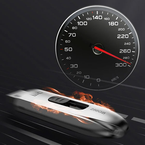 فلش مموری دی ام USB3.1 مدل FS220 ظرفیت 256 گیگابایت