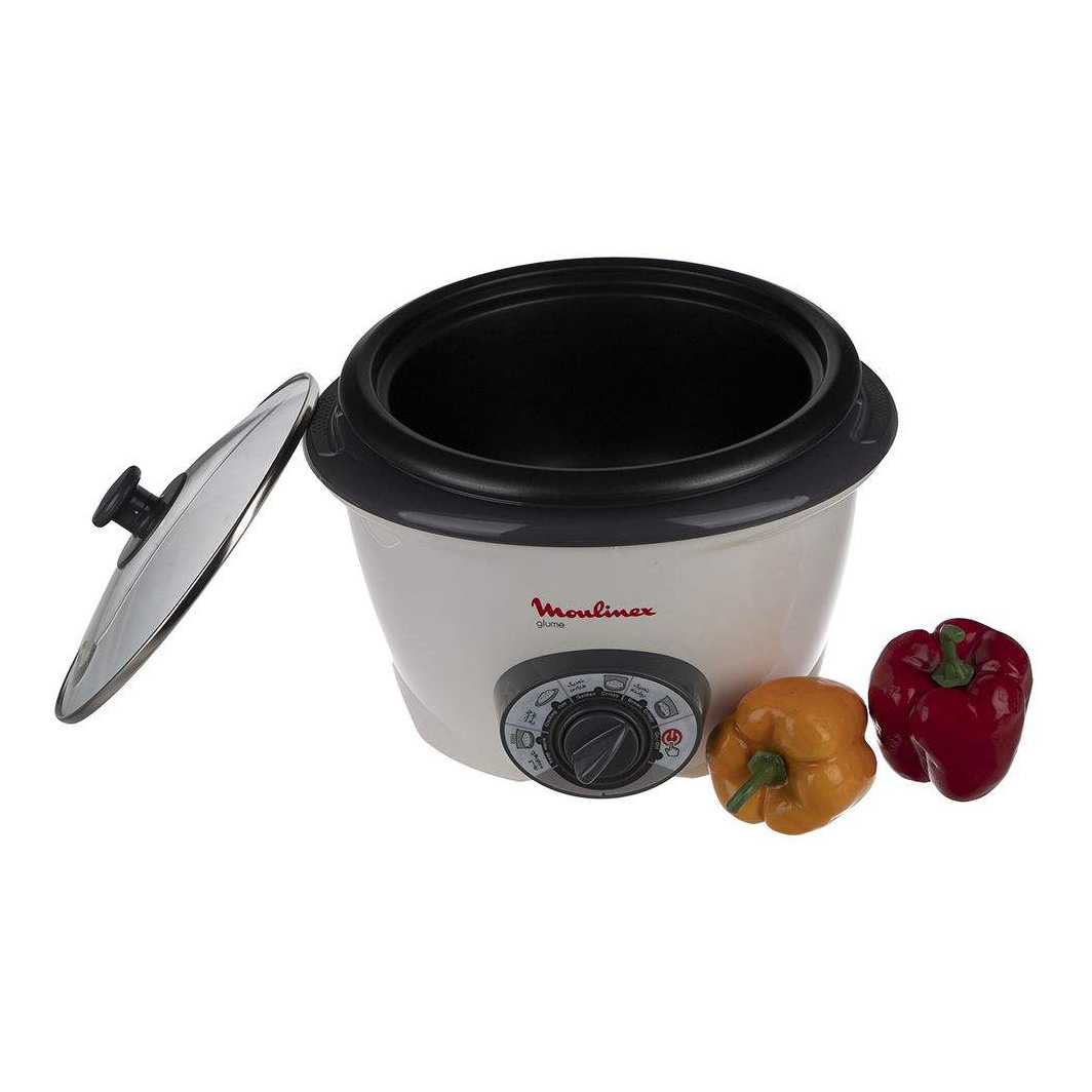 پلوپز مولینکس مدل RC1108-10W