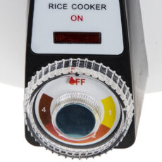 پلوپز پارس خزر مدل RC-361TSW