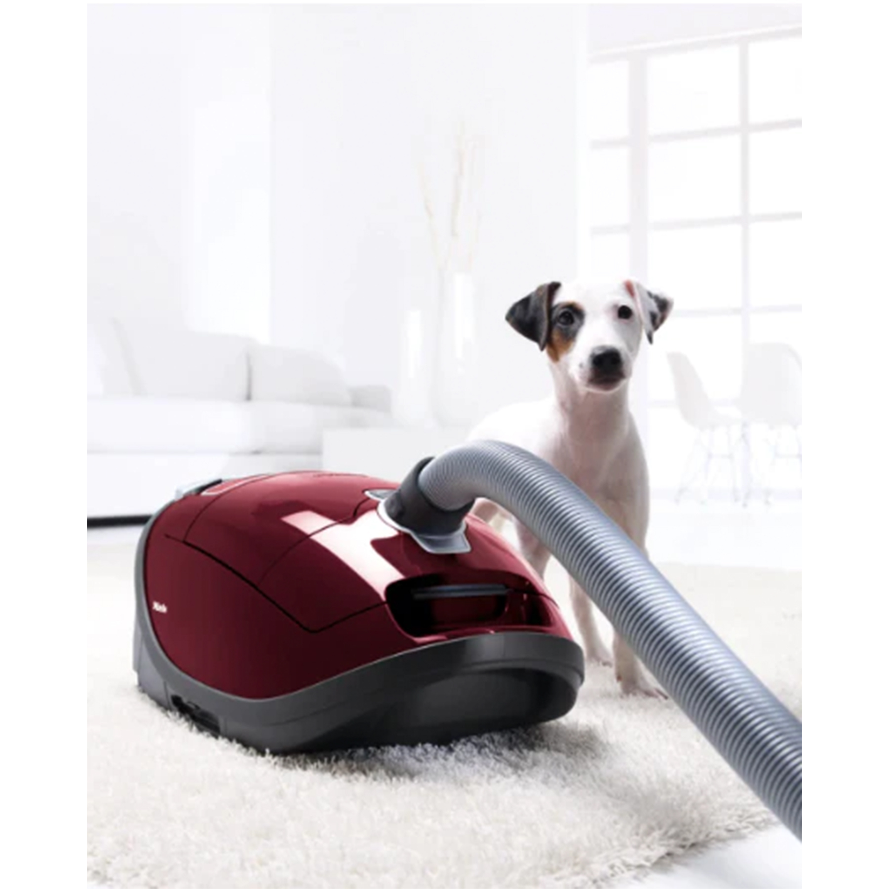 جاروبرقی میله مدل C3 CAT DOG