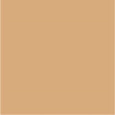 پنکیک استرا مدل 1001 شماره 0042