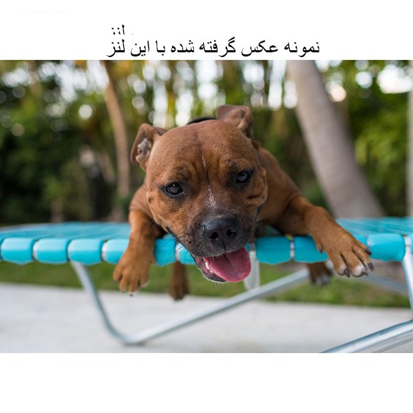 لنز دوربین کانن مدل EF 35mm F/1.4L USM