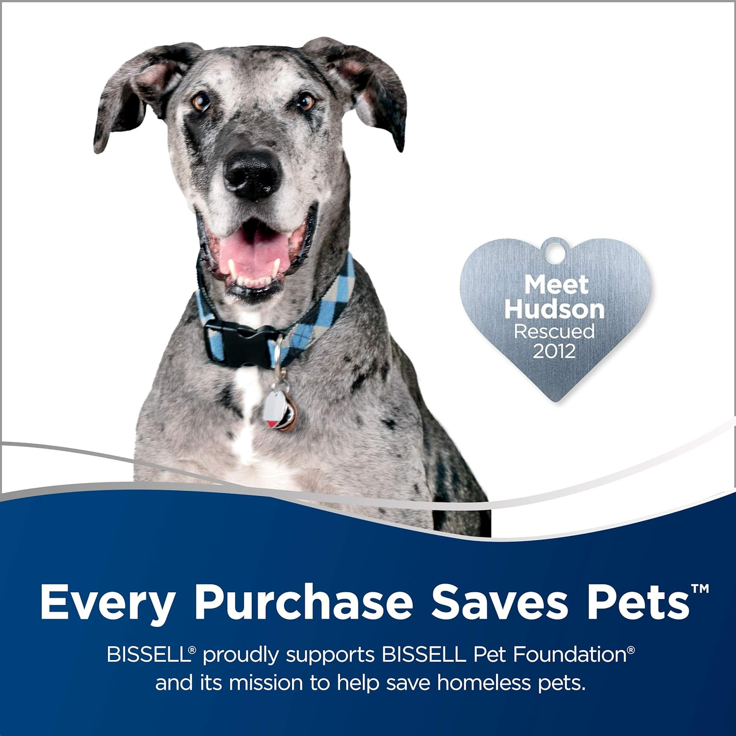 فرش شوی و مبل شوی بیسل مدل BARKBATH2-3114E