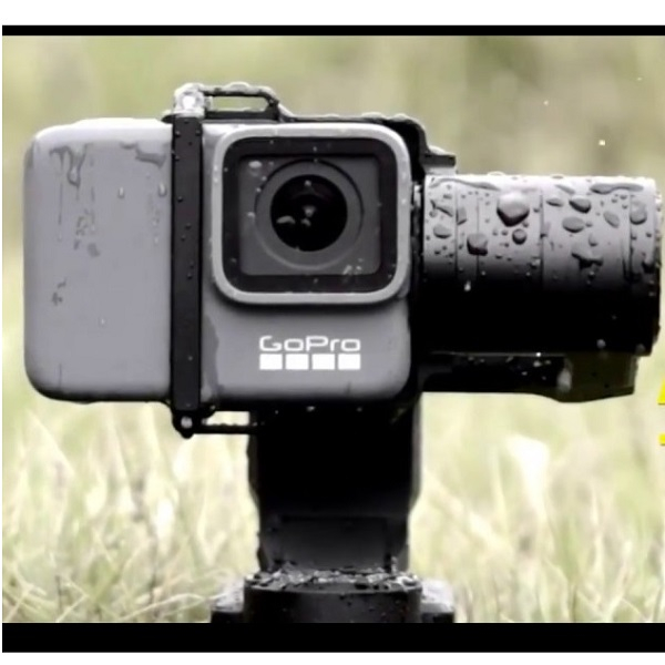 استابلایزر و گیمبال دبلیو جی 2 ایکس مدل A10