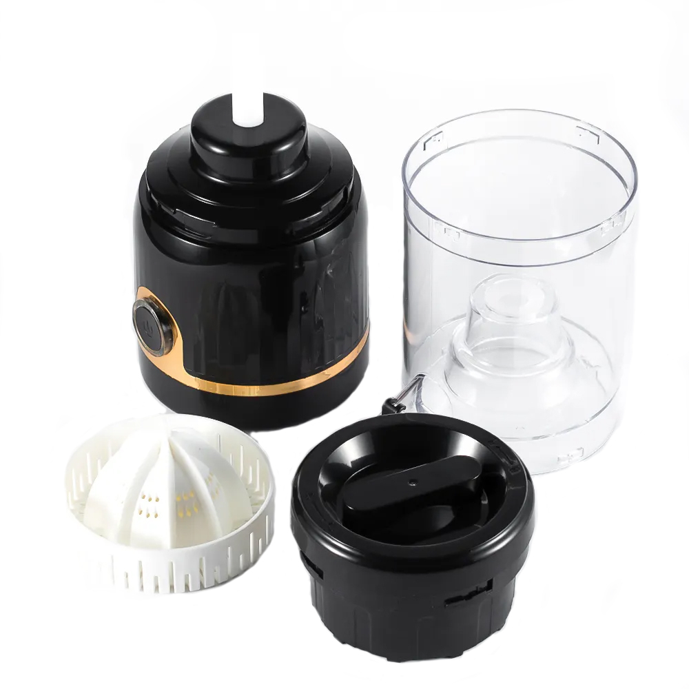 مخلوط کن 0.25 لیتری راف مدل R.613