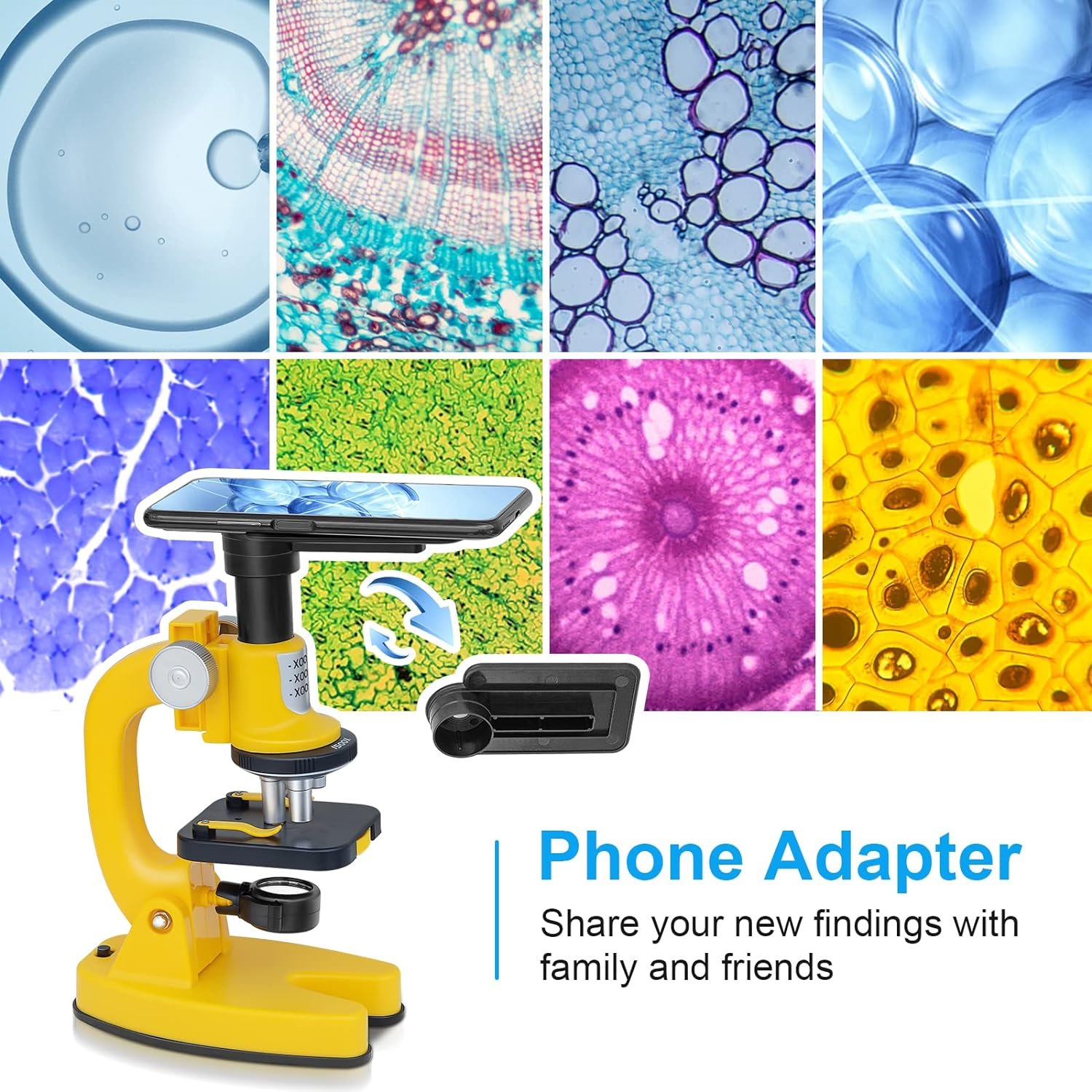 میکروسکوپ مدل SD221