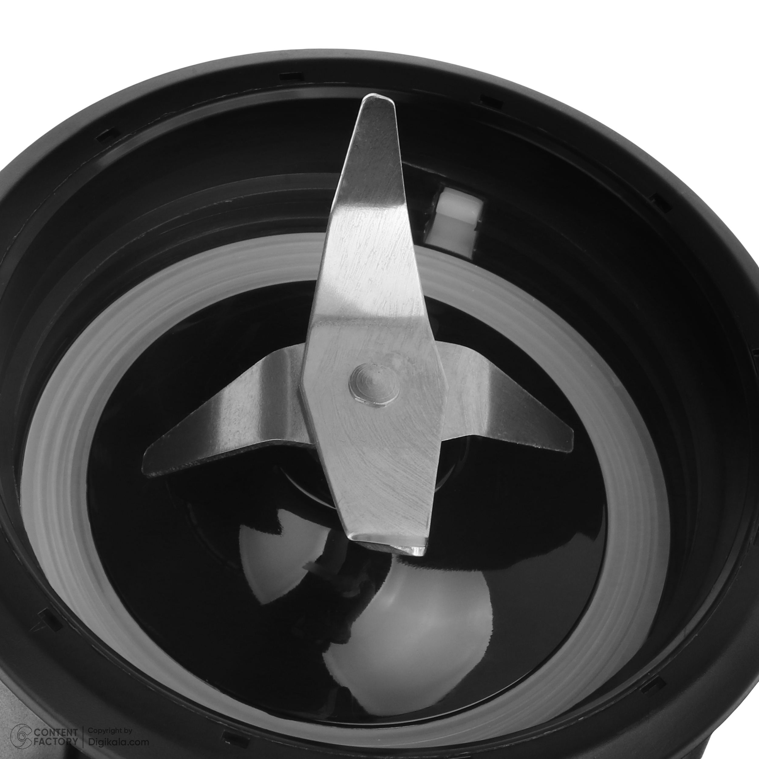 مخلوط کن و آسیاب کن رنه مدل RBCG-1701