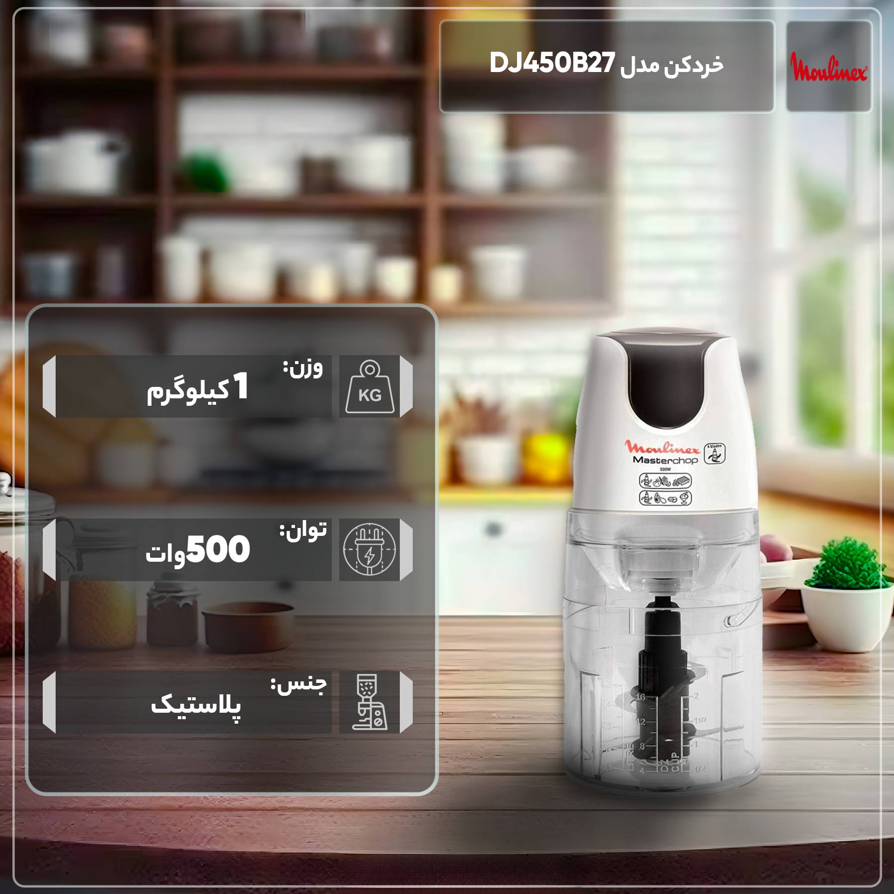 خردکن مولینکس مدل DJ450B27