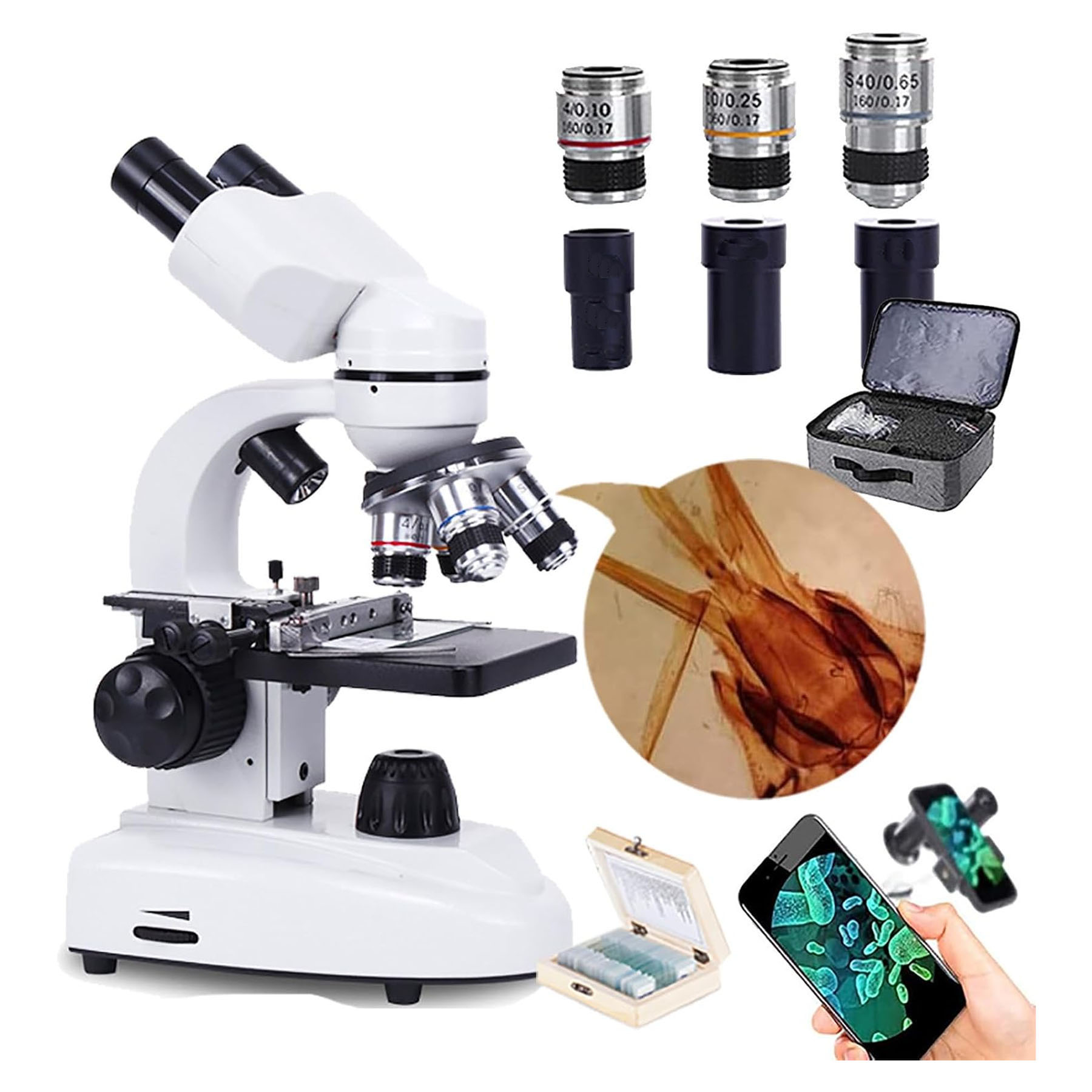 میکروسکوپ دوچشمی مدل زیستی 2025 1600x New به همراه کیف