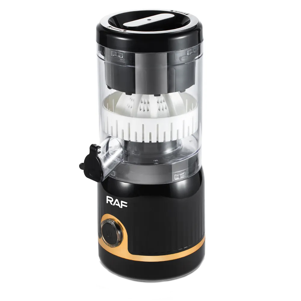 مخلوط کن 0.25 لیتری راف مدل R.613