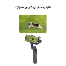 گیمبال و لرزشگیر مدل F10PROMAX-Ai