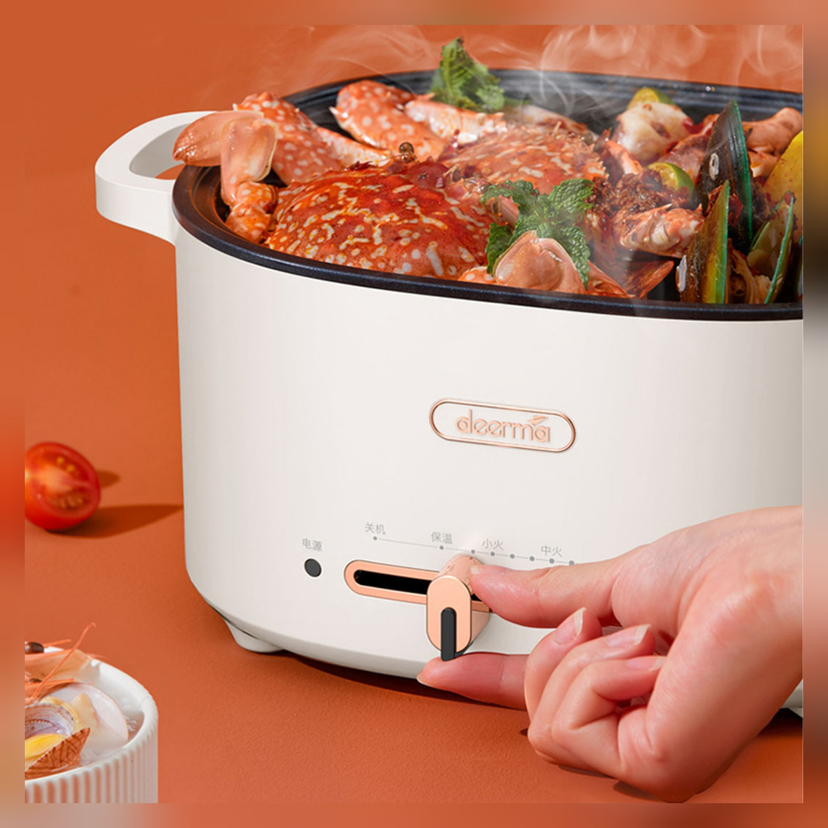 بخارپز درما مدل MI DG20