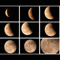 تلسکوپ کامار مدل شکستی کد CRG 525x به همراه سه پایه