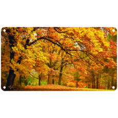 رادیاتور برقی دیواری تاپسان مدل D-902-TP-N-31