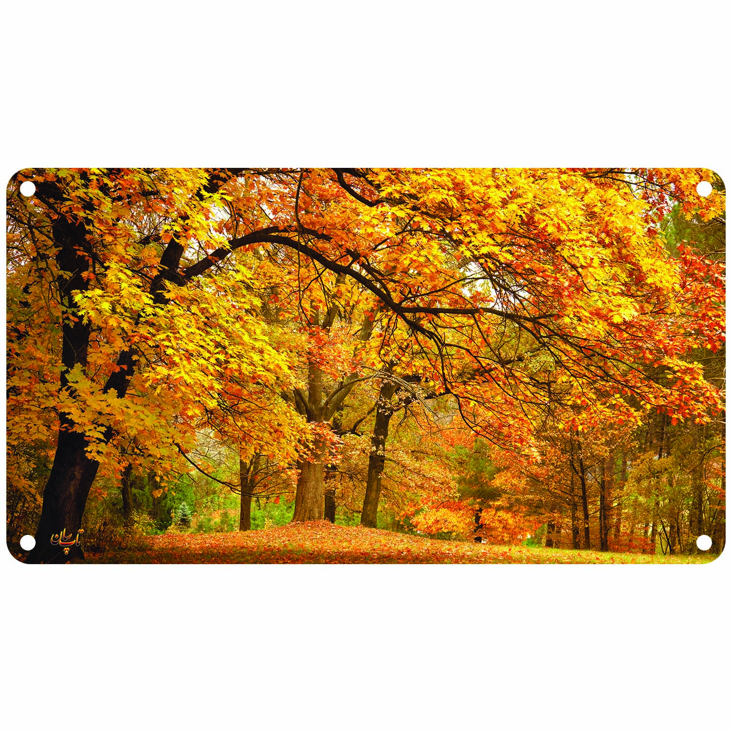 رادیاتور برقی دیواری تاپسان مدل D-902-TP-N-31