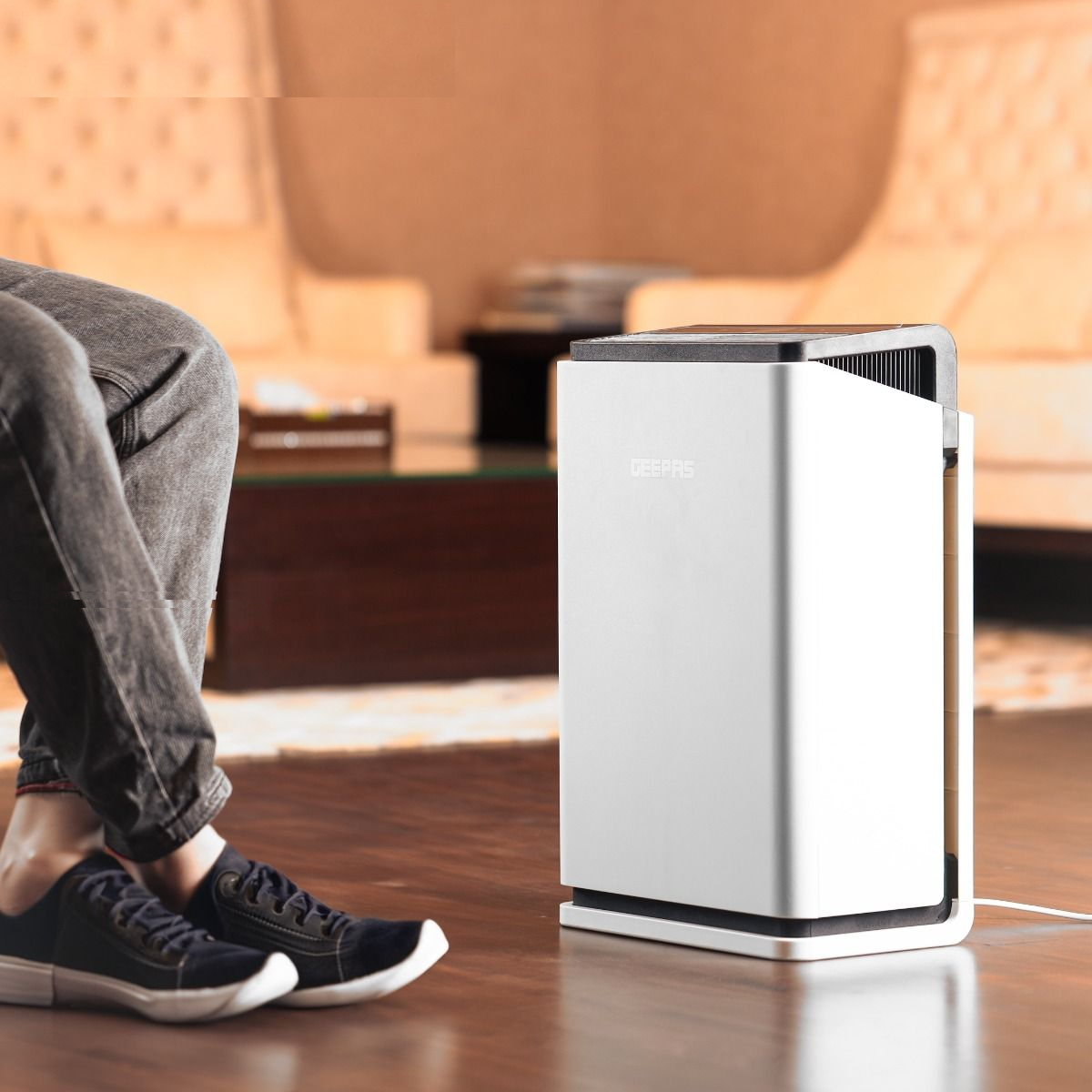 دستگاه تصفیه کننده هوا جی پاس مدل GAP16023