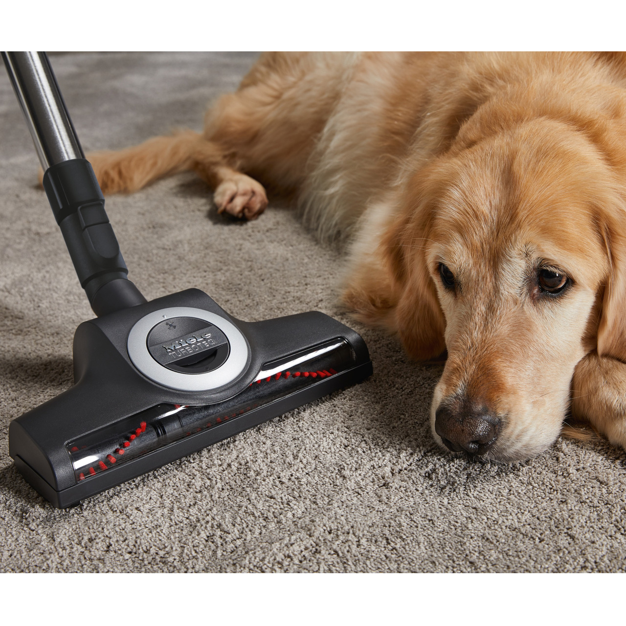 جاروبرقی میله مدل C3 CAT DOG