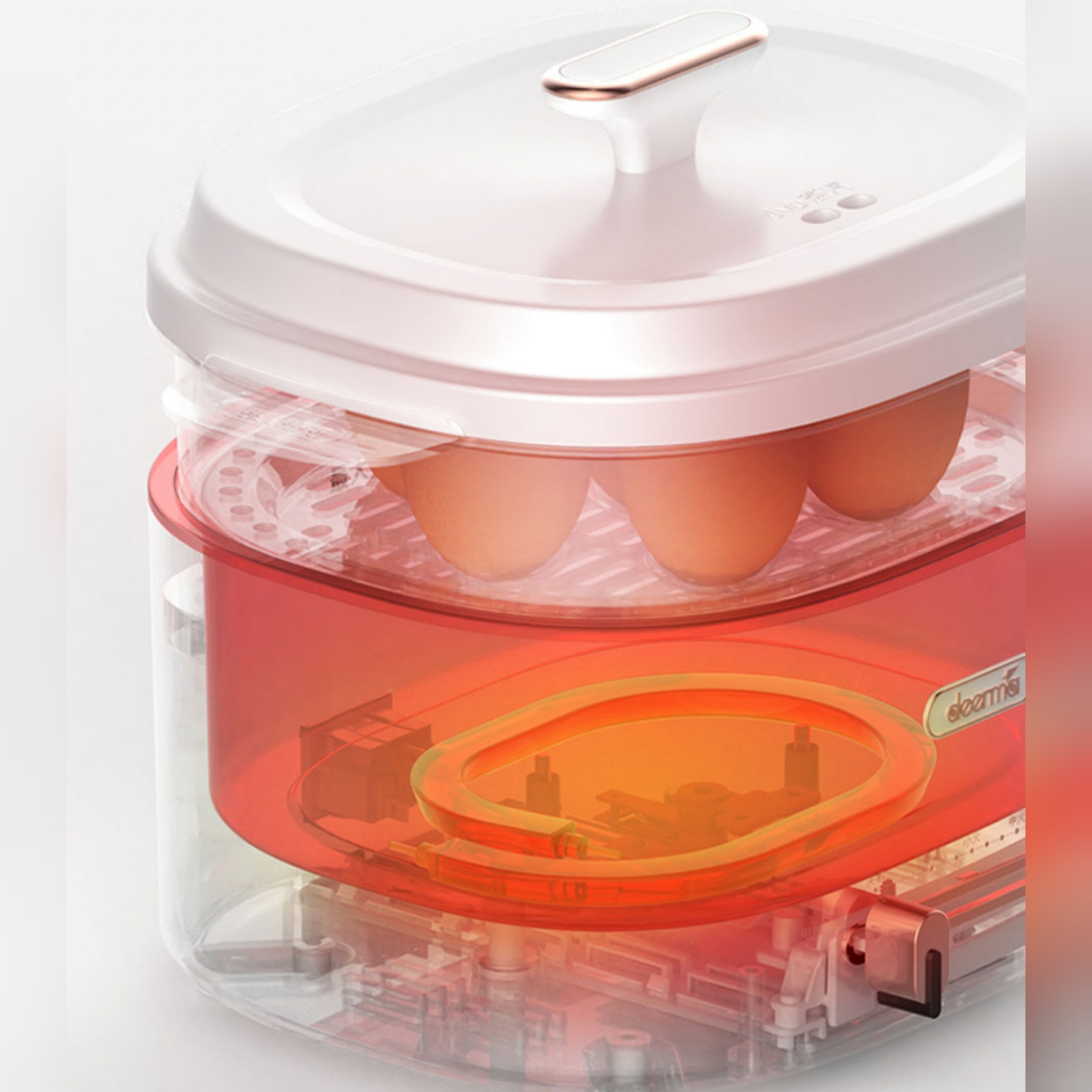 بخارپز درما مدل MI DG20