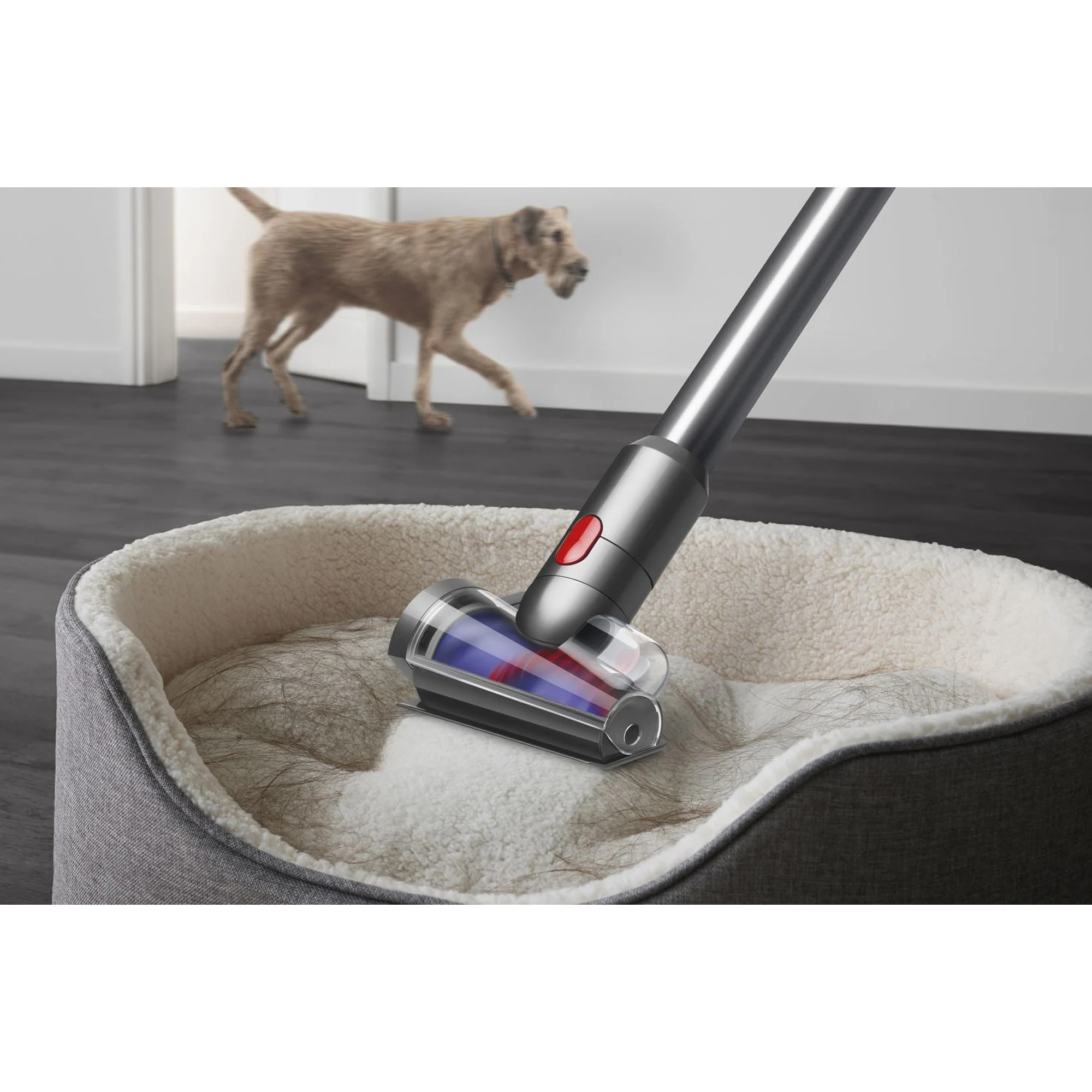 جارو شارژی عصایی دایسون مدل V12 Detect Slim Absolute