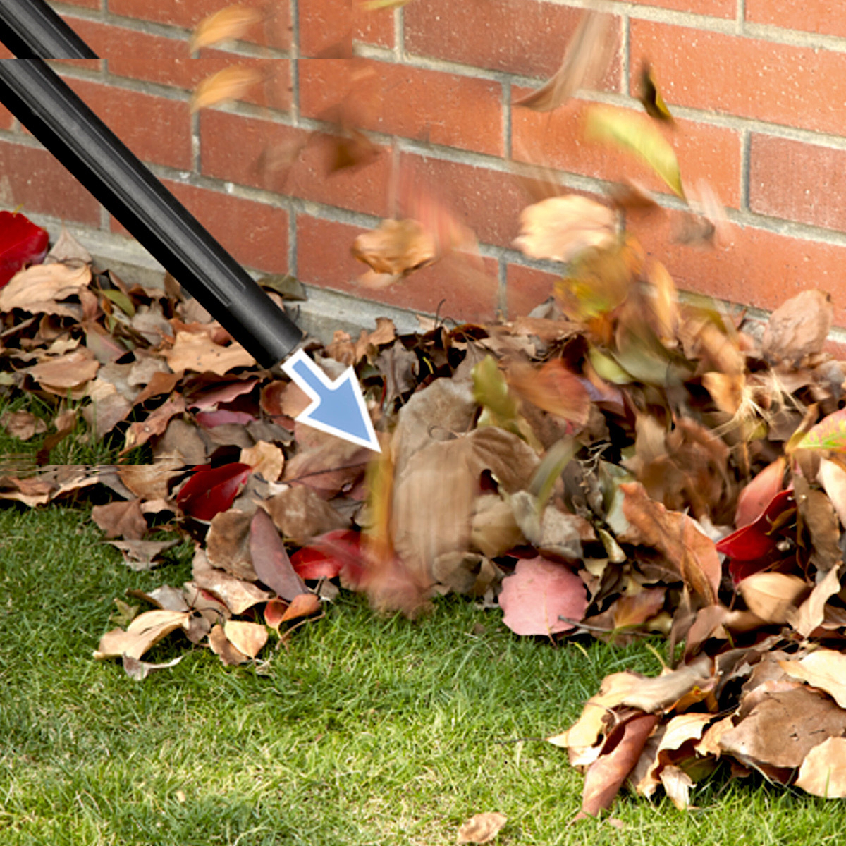 جاروبرقی سطلی کرشر مدل WD 1S CLASSIC