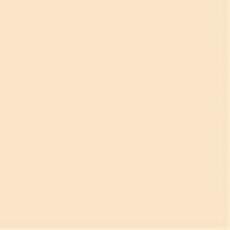 پنکیک استرا مدل 1001 شماره 0035