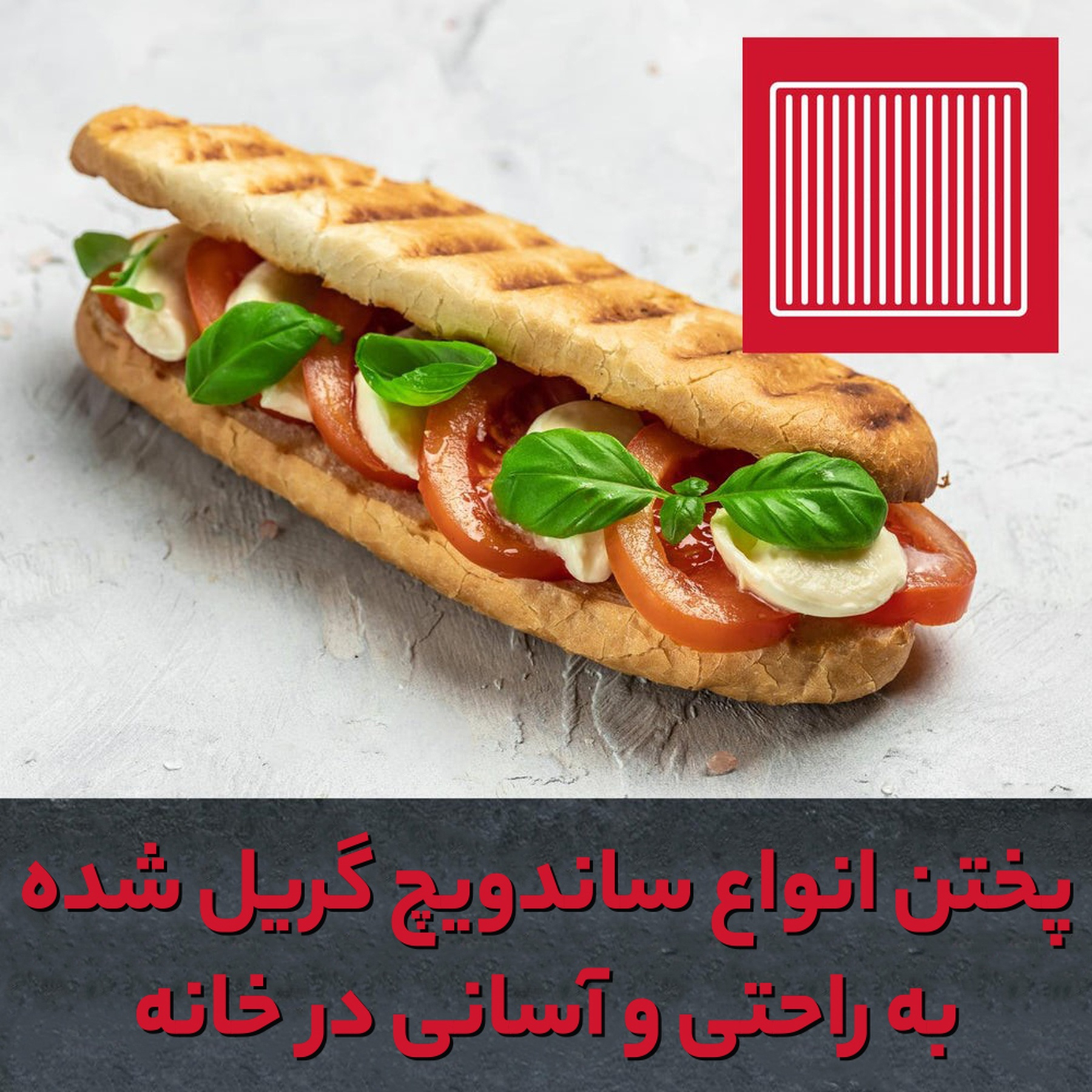 ساندویچ ساز دسینی مدل دو کاره 1400