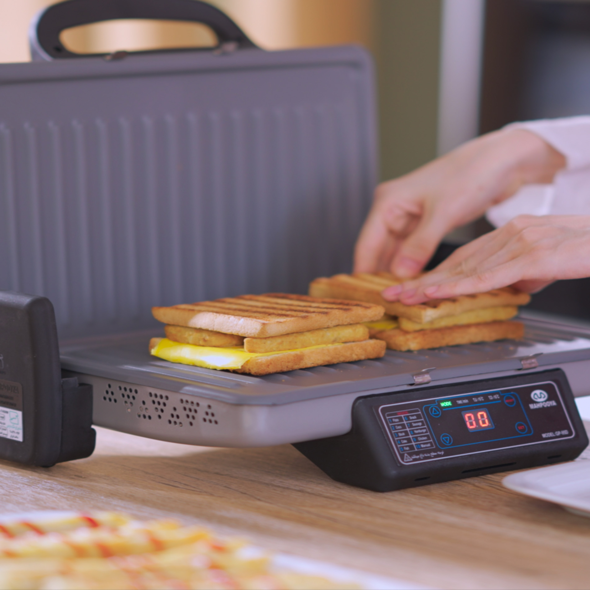 گریل برقی مه پویا مدل HGM2025-d