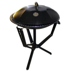 باربیکیو پارمیس مدل زغالی