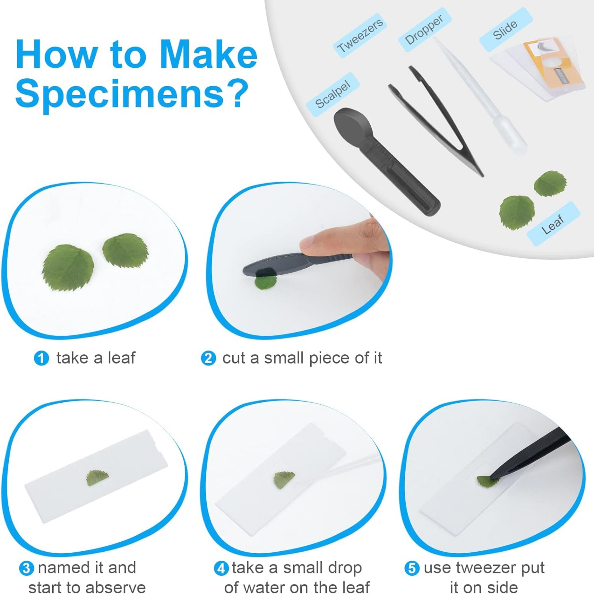 میکروسکوپ مدل SD221