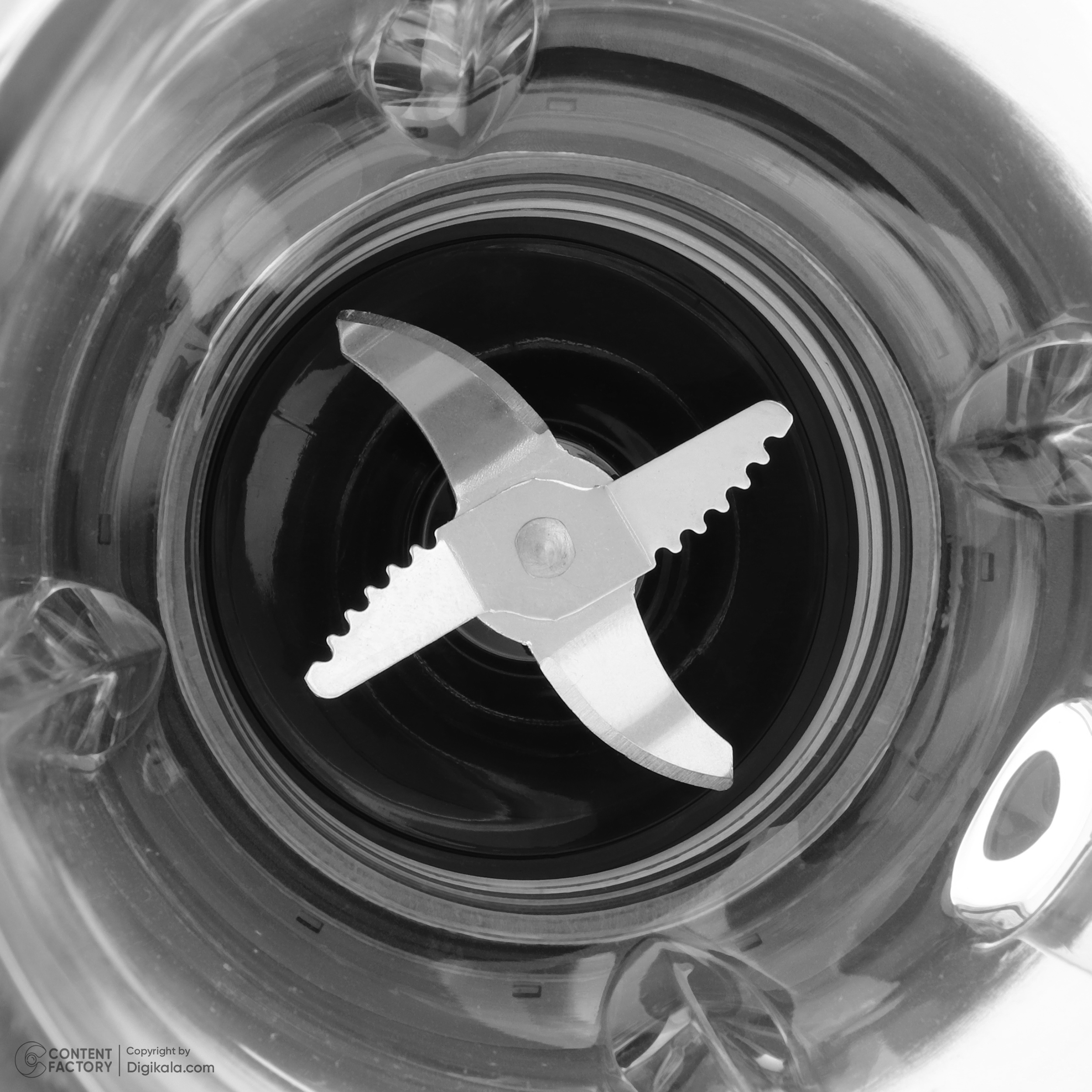 مخلوط کن و آسیاب کن رنه مدل RBCG-1701