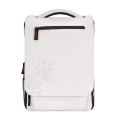 استابلایزر ژیون مدل CRANE M2S COMBO