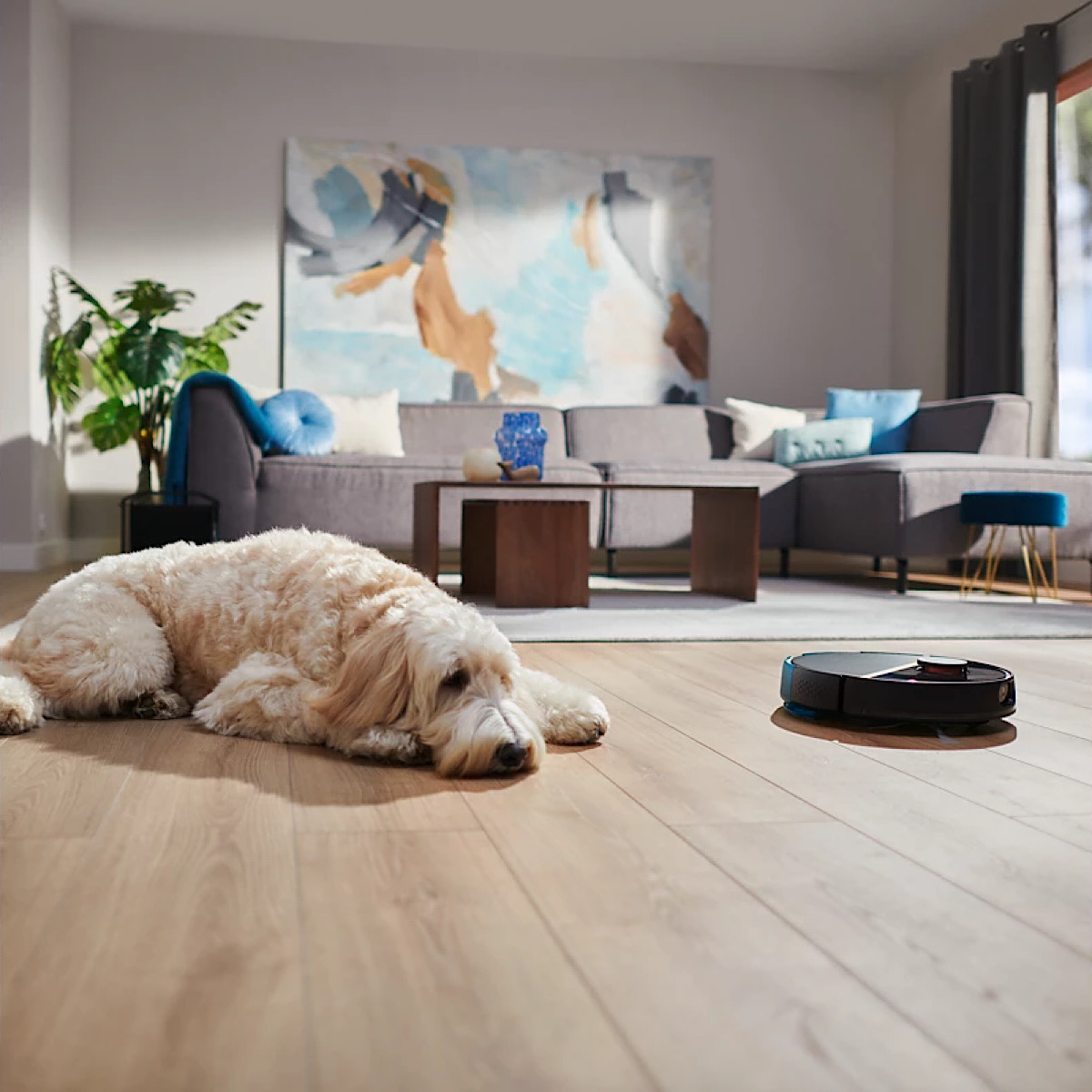 جاروبرقی رباتیک فیلیپس مدل XU7000/01