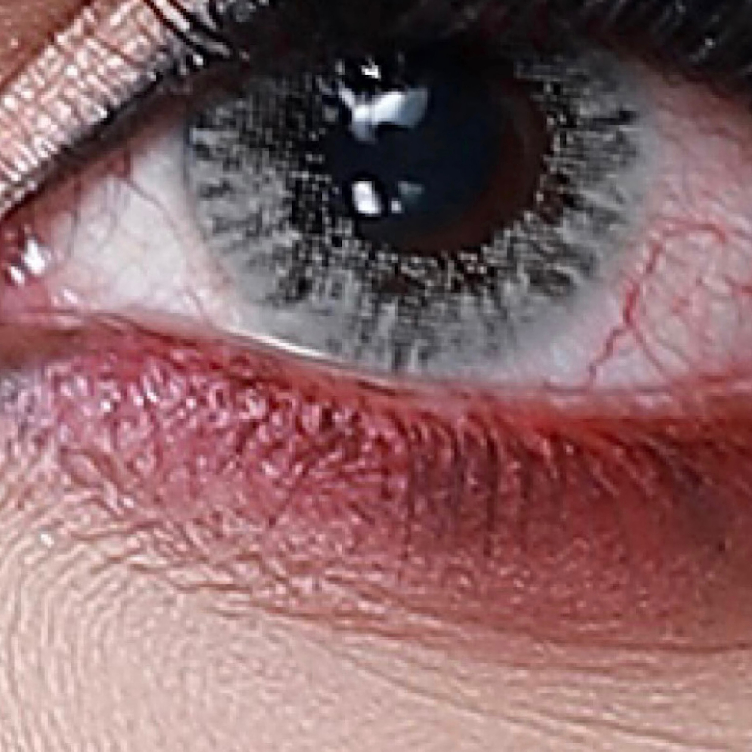 لنز چشم هرا کد ۷۶۷ رنگ طوسی یخی بدون دور