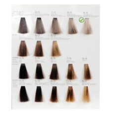 رنگ مو فشینلی سری Ash مدل دودي نقره اي شماره 9.1