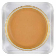 موس ماجولان شماره 105