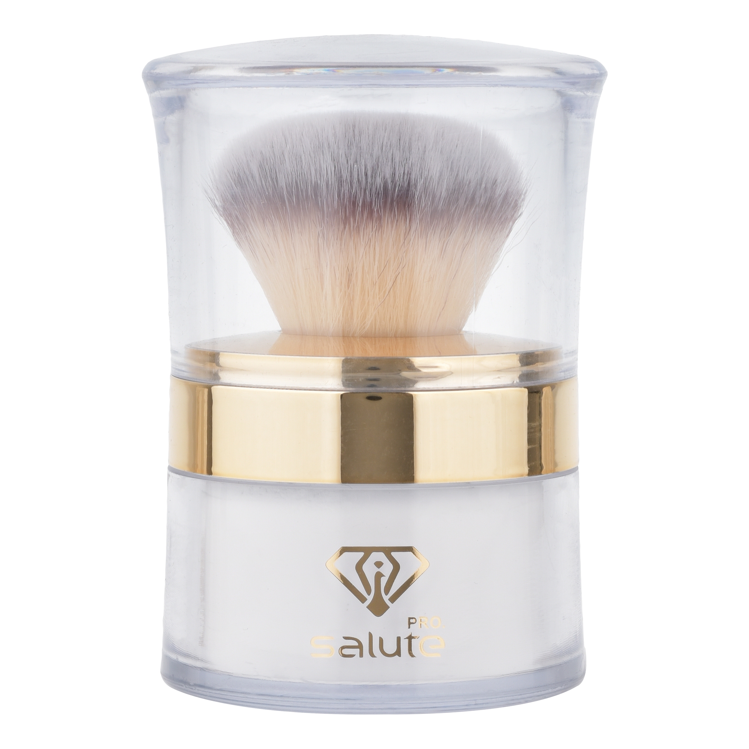 پودر تثبیت کننده آرایش سالوته پرو مدل S-01