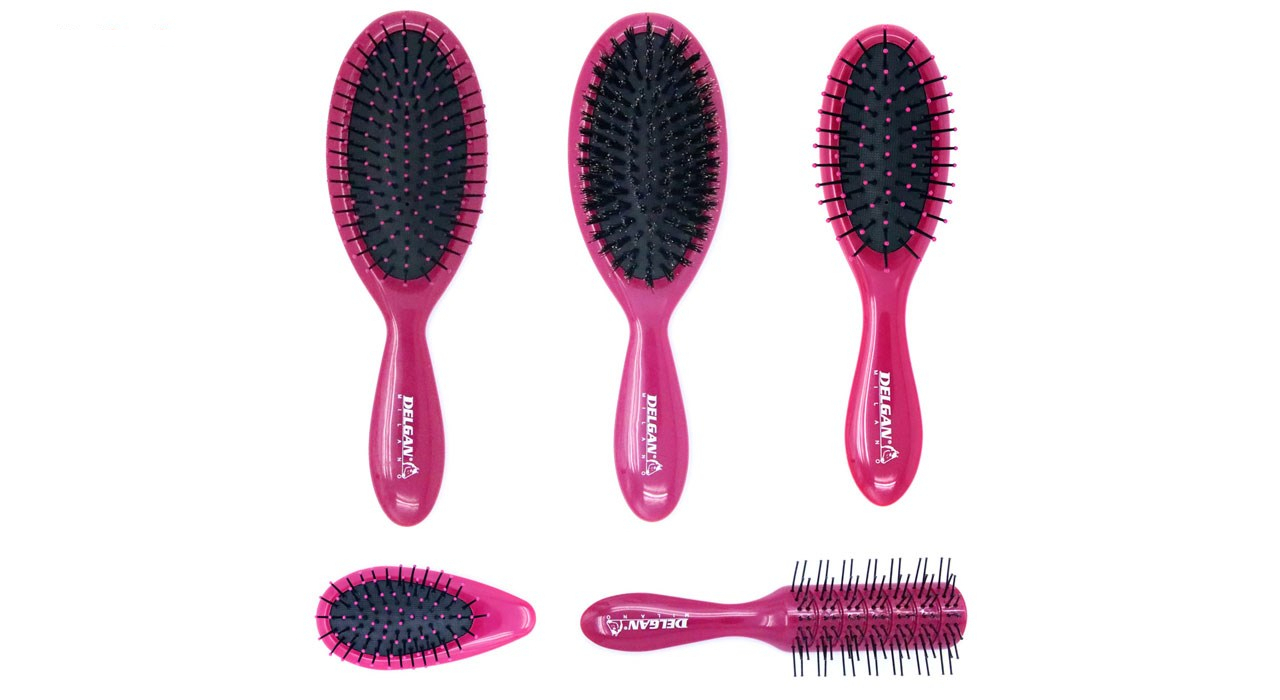 ست برس مو دلگان مدل P03-00001 بسته 5 عددی