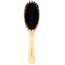 برس مو دلگان مدل HIC174X-053-002