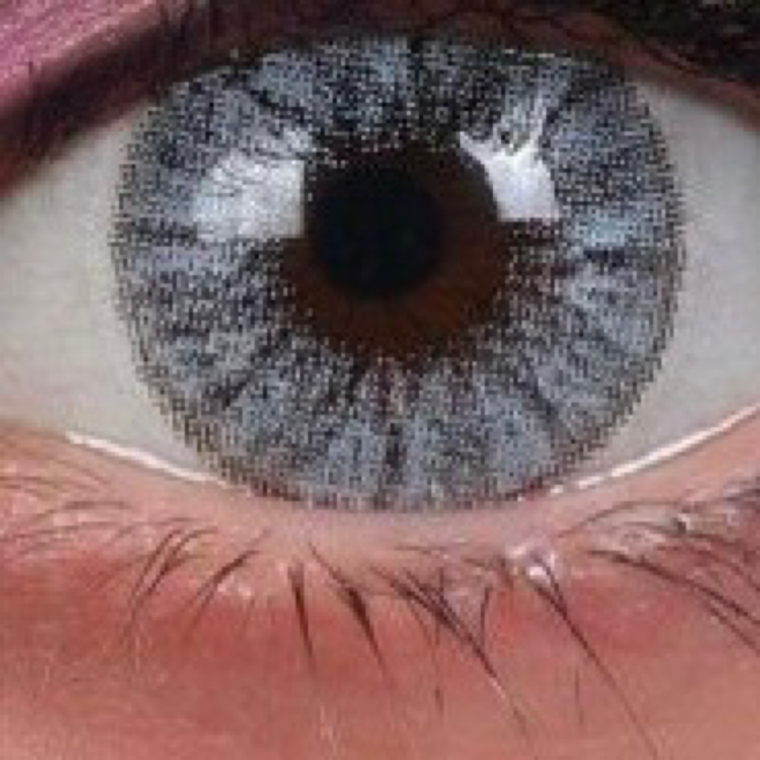 لنز چشم هرا گریس تمیم کانتکت لنز کد 67 رنگ آبی آسمانی هاله دار دور دار