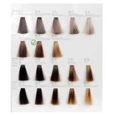 رنگ مو فشینلی سری Beige مدل بلوند صحرا شماره 8.2